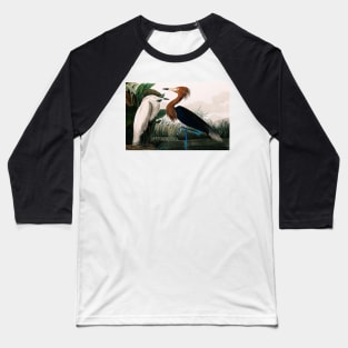 Bird of America  Bird, bird lover, america, beautiful  Public domain painting by John James Audubon Baseball T-Shirt